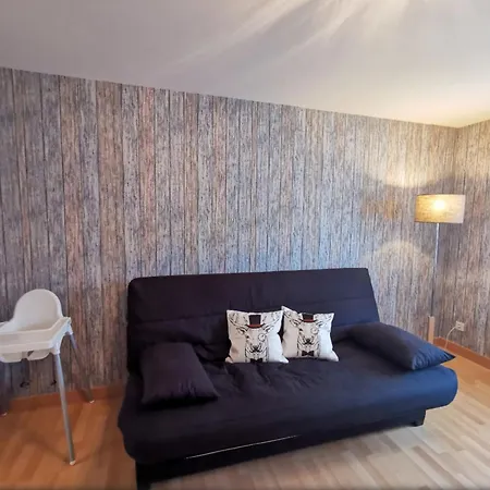 Perce-neige Proche Centre Appartement La Bresse